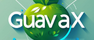 Guava X